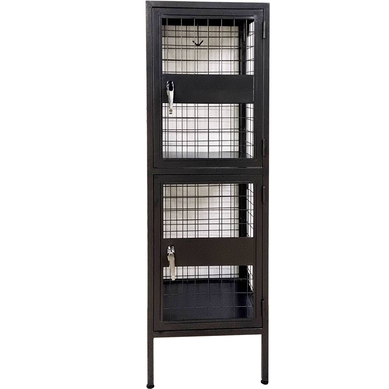SFS Metal Wire Mesh Locker for Mini Warehouse Storage with Two Doors in Black Color-SFS-MSL-005