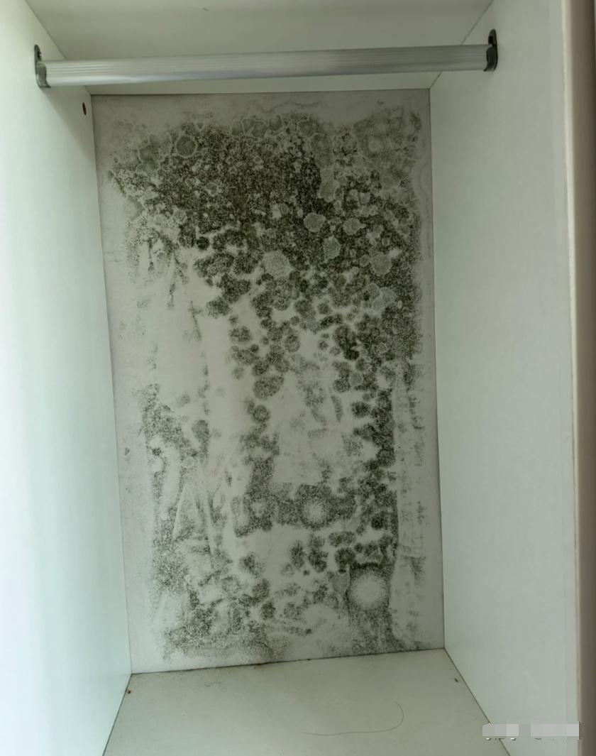 traditional wooden lockers start to get moldy after a period of use