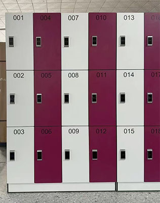 Phenolic storage locker in 12 doors,it is with NFC lock