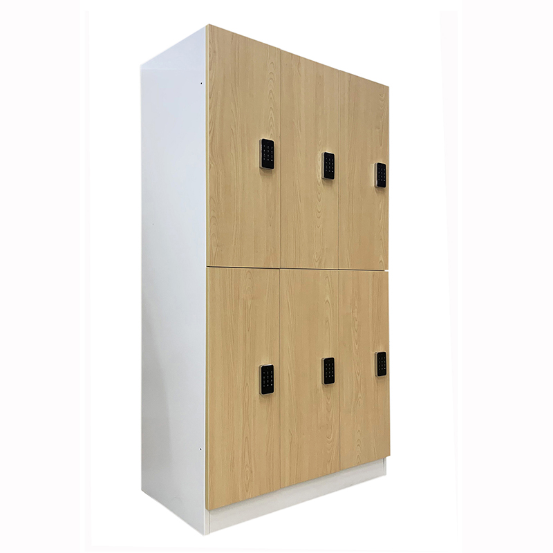Wood grain iron locker
