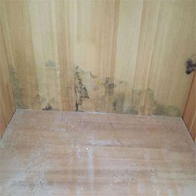 mold wooden locker