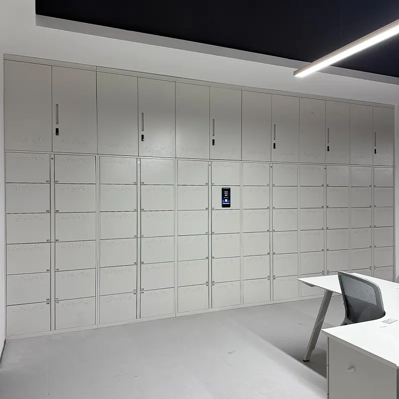 perfect project case for Facial Recognition Locker